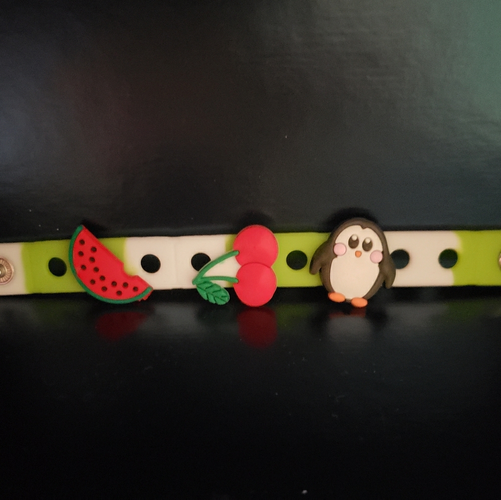 Jibbitz charms bracelet